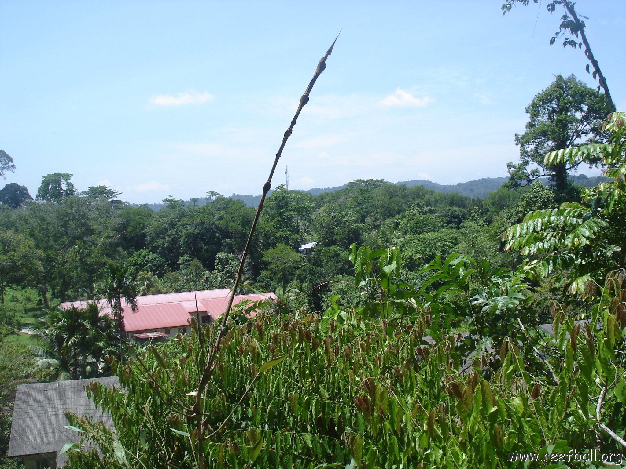 nature discovery center (87)