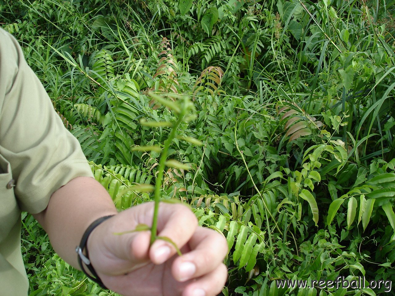 trip from Holiday Inn to Kuching (30)