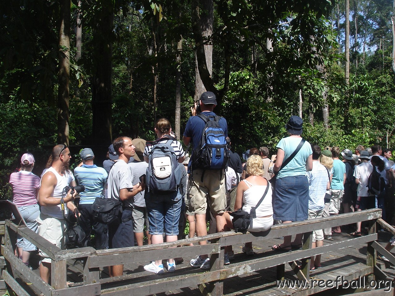 trip to Orangataun park (14)