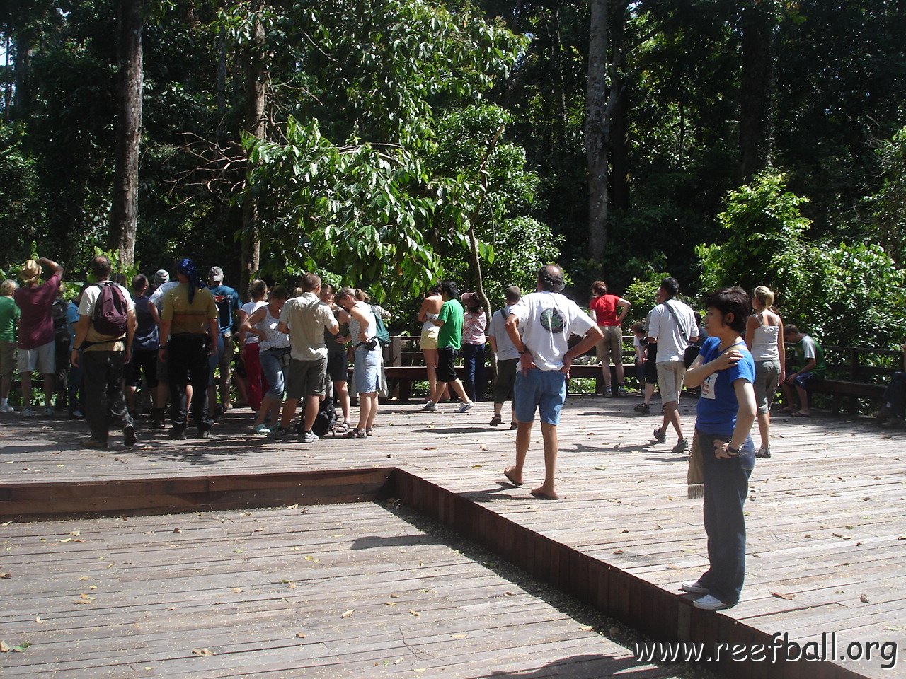 trip to Orangataun park (15)