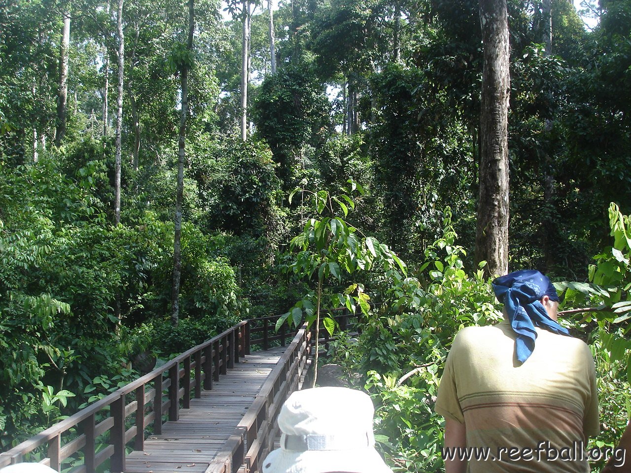 trip to Orangataun park (17)