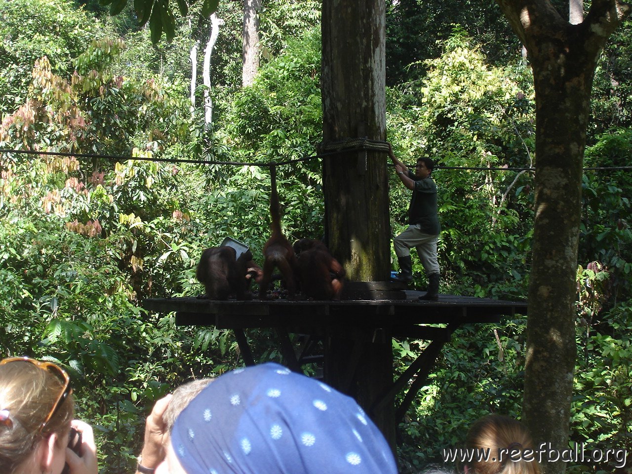trip to Orangataun park (25)
