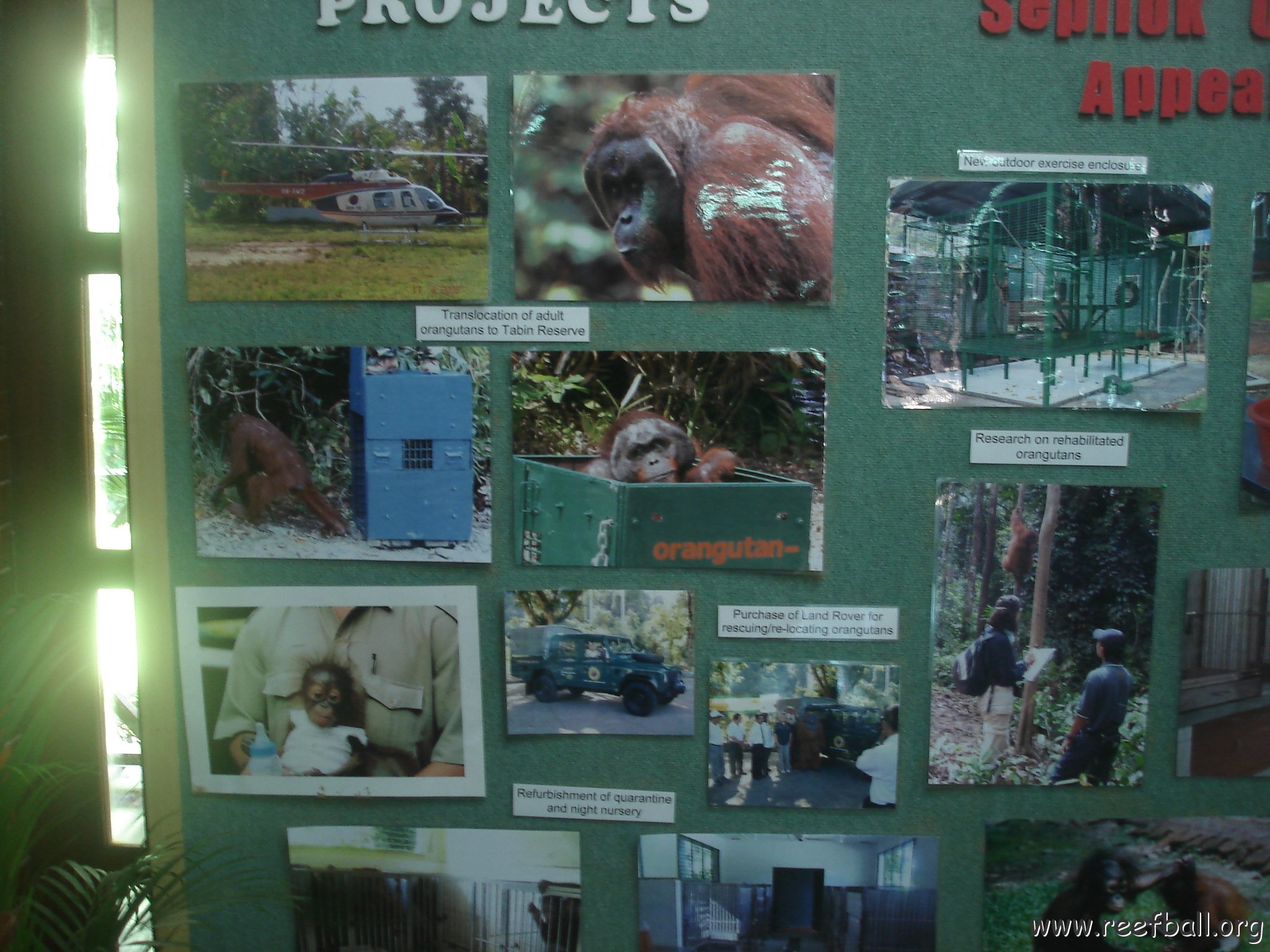 trip to Orangataun park (3)