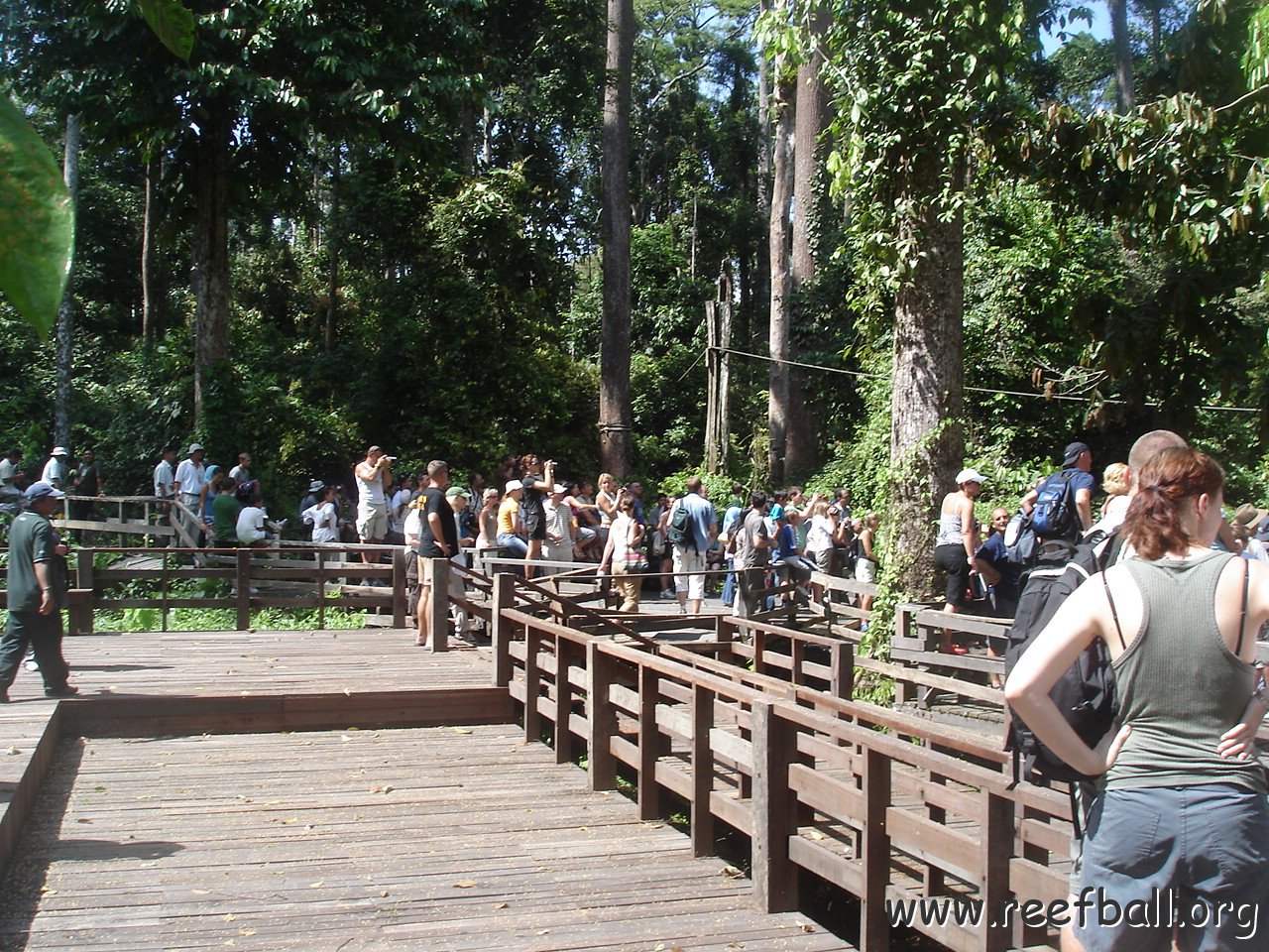 trip to Orangataun park (33)