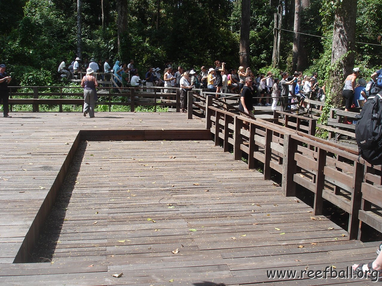 trip to Orangataun park (36)