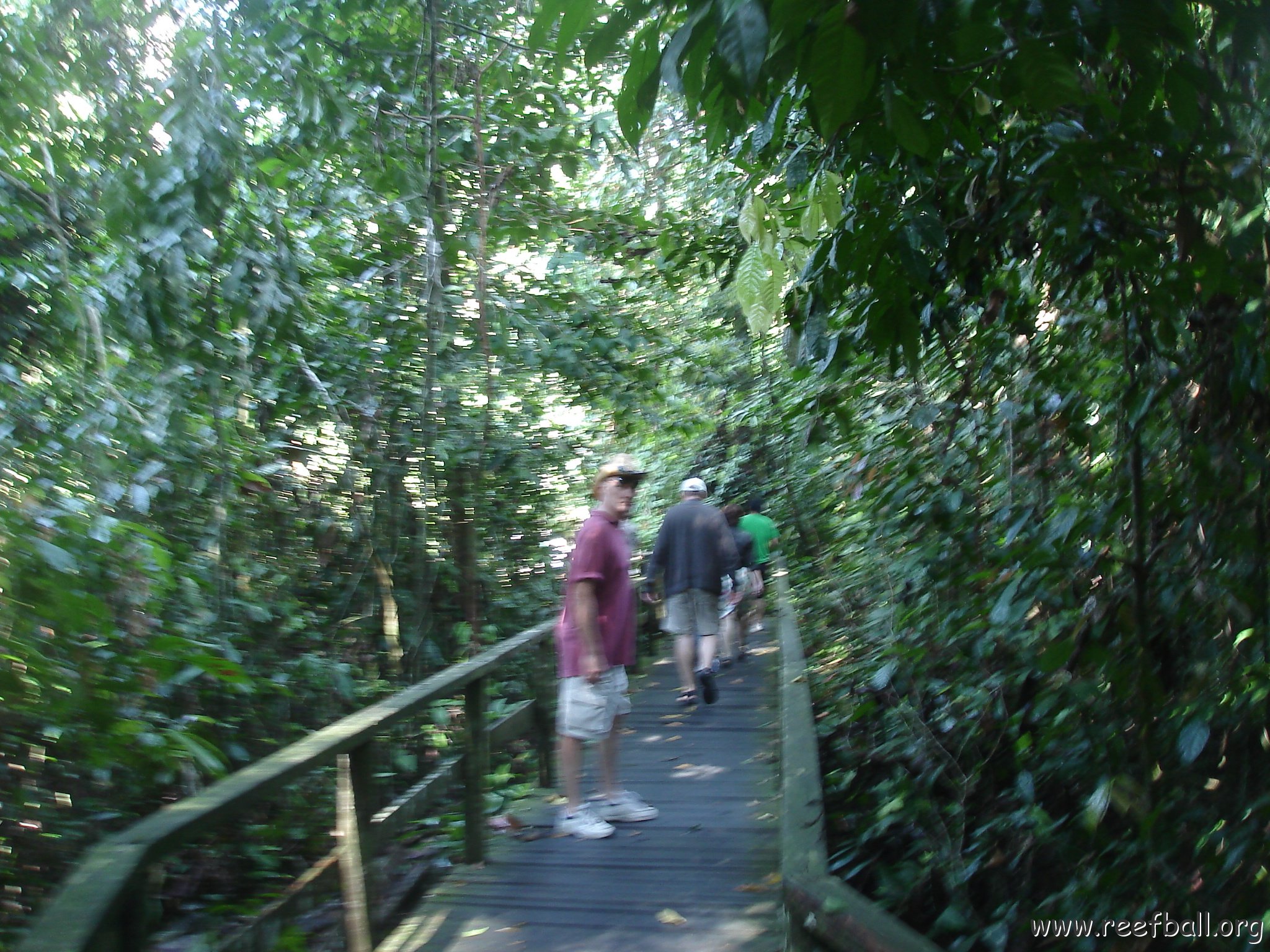 trip to Orangataun park (6)