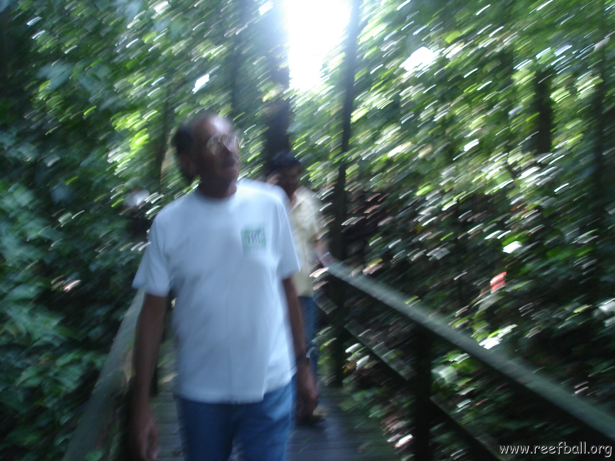 trip to Orangataun park (7)