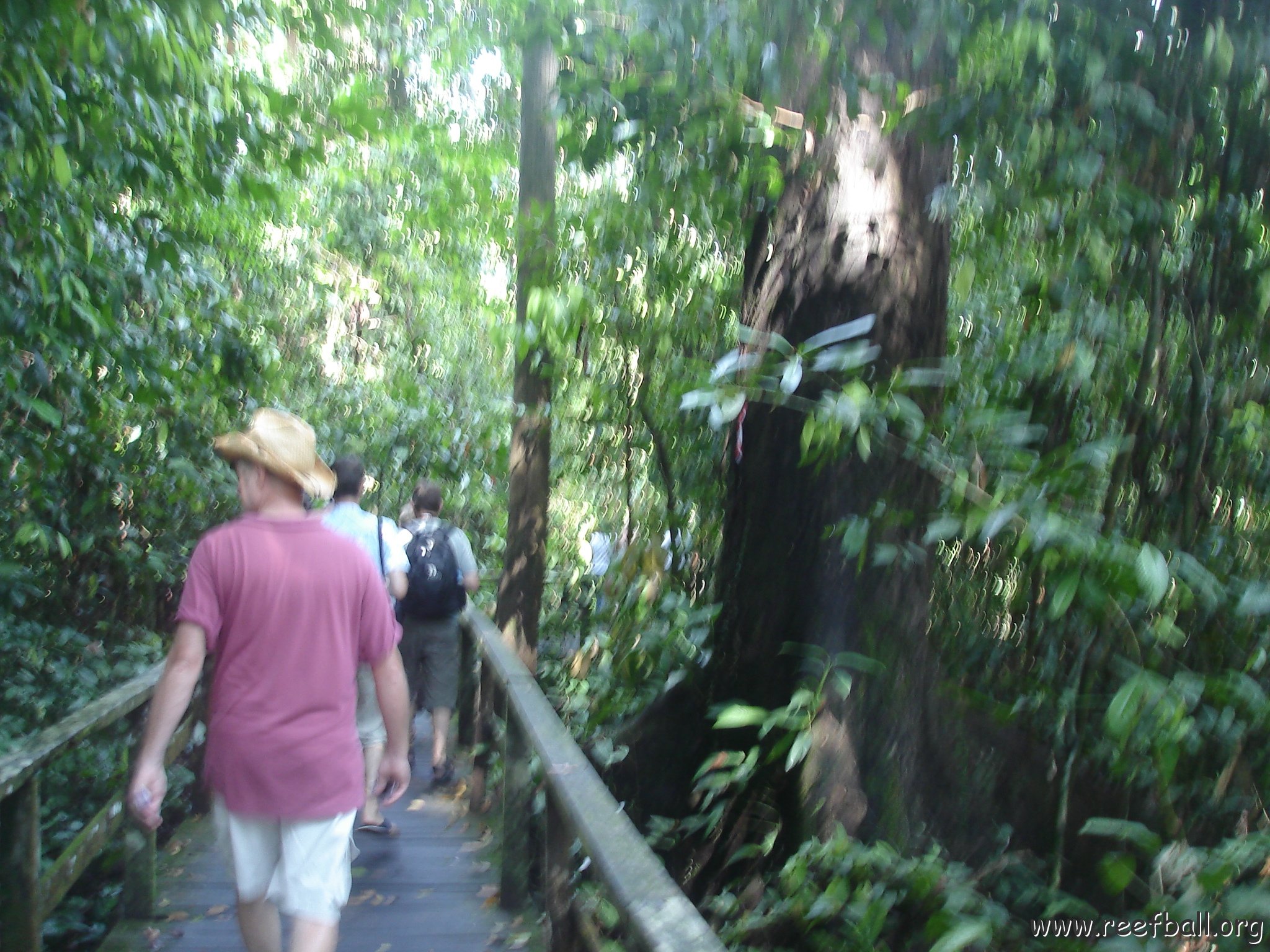 trip to Orangataun park (9)