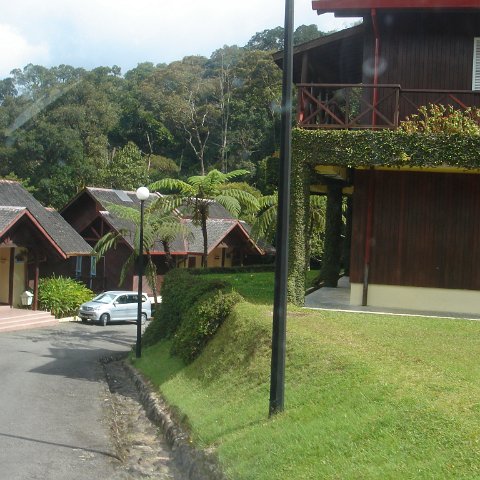 Dougs- (227) Dougs- (227)