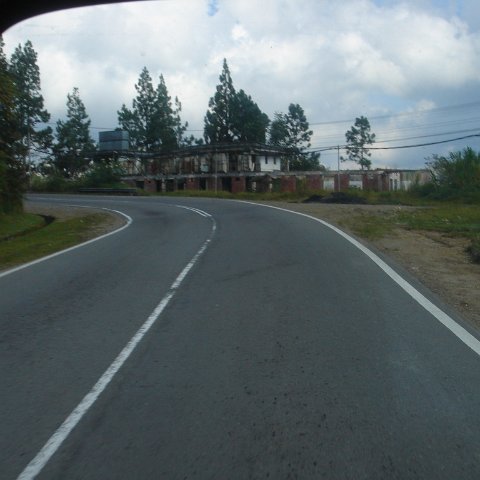 Dougs- (259) Dougs- (259)
