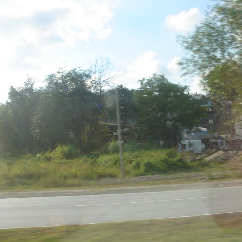 Dougs- (278) Dougs- (278)