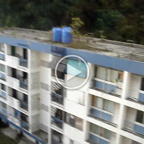 Dougs- (340) Dougs- (340)