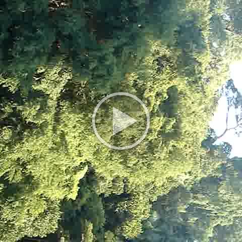 Dougs- (344) Dougs- (344)