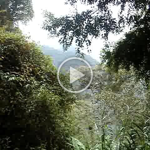 Dougs- (348) Dougs- (348)