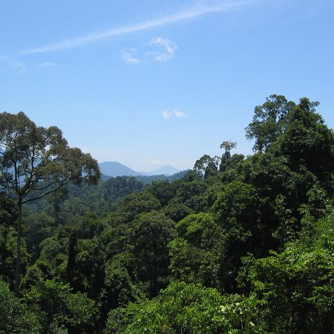 Harrys-Sandakan to KK (7) Harrys-Sandakan to KK (7)