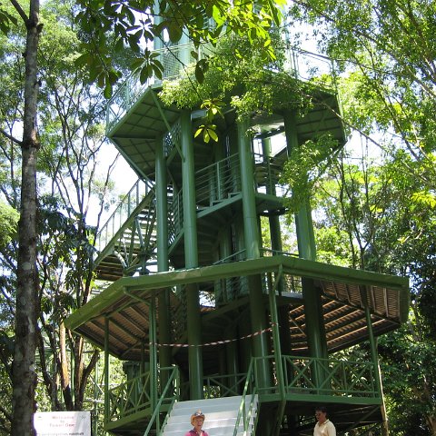 Harrys-rainforest center (10) Harrys-rainforest center (10)