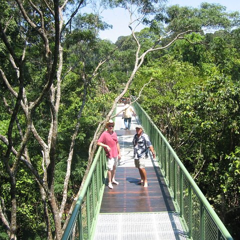 Harrys-rainforest center (11)