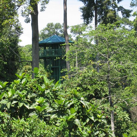 Harrys-rainforest center (12)