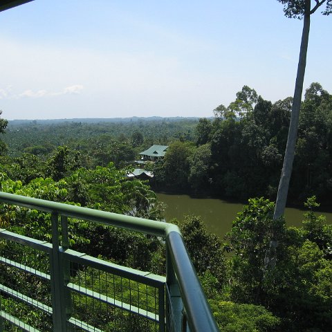 Harrys-rainforest center (19)