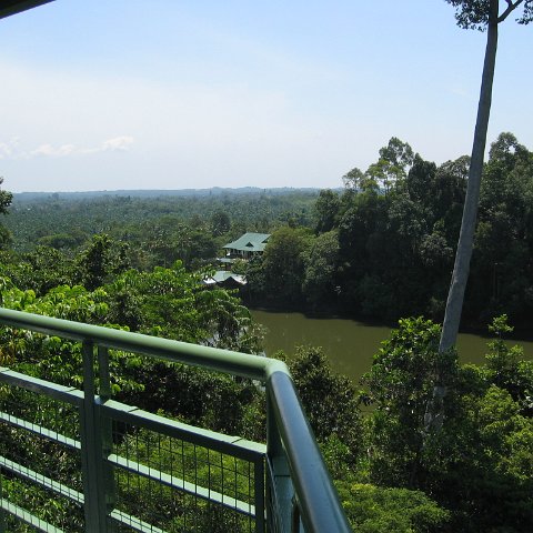 Harrys-rainforest center (19) Harrys-rainforest center (19)