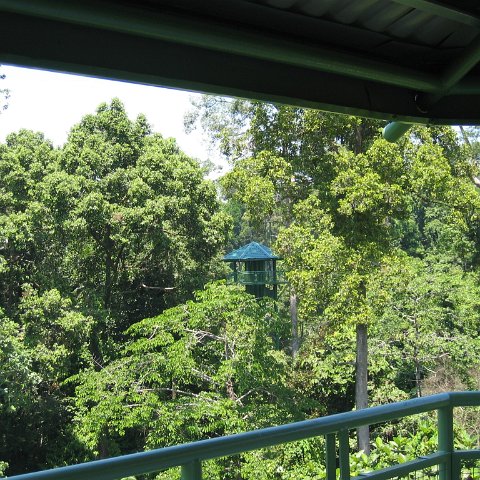 Harrys-rainforest center (20)