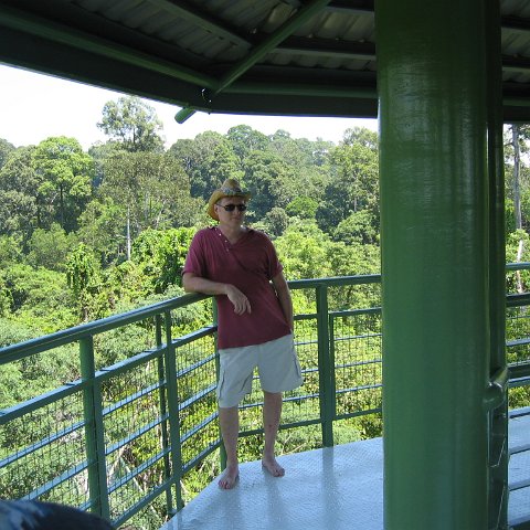 Harrys-rainforest center (24)