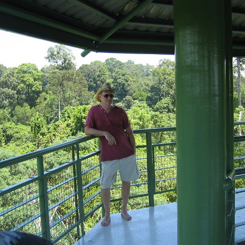 Harrys-rainforest center (24) Harrys-rainforest center (24)