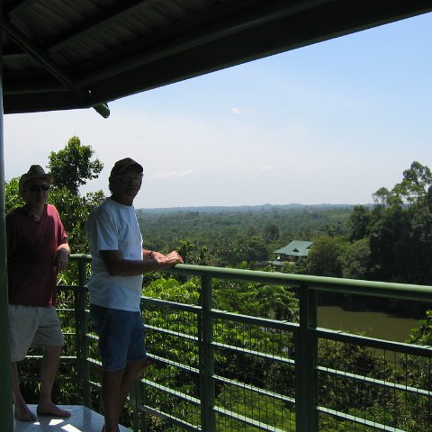 Harrys-rainforest center (26) Harrys-rainforest center (26)