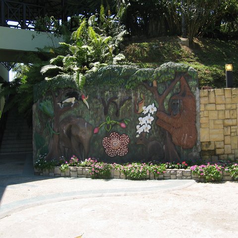 Harrys-rainforest center (4)
