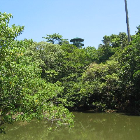 Harrys-rainforest center (40)