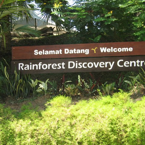 Harrys-rainforest center (46)