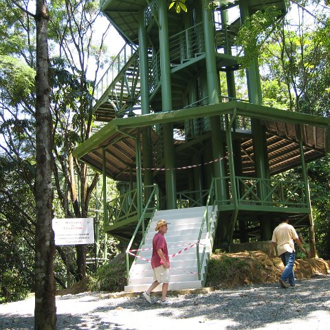 Harrys-rainforest center (9)