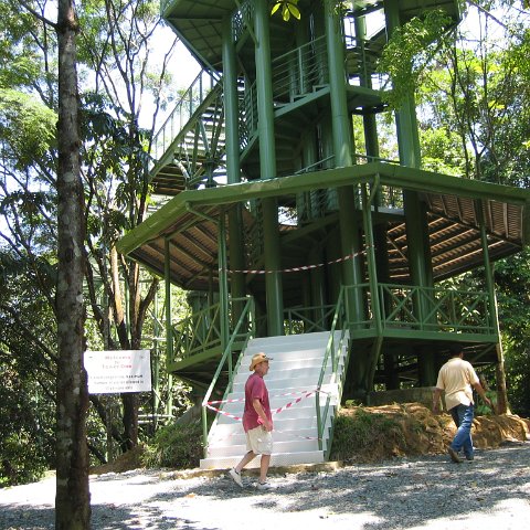 Harrys-rainforest center (9) Harrys-rainforest center (9)