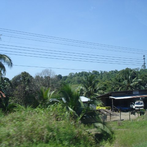 Road trip Sandakan - Kota Kinabalu (11) Road trip Sandakan - Kota Kinabalu (11)