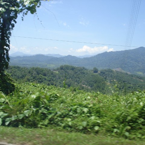 Road trip Sandakan - Kota Kinabalu (119) Road trip Sandakan - Kota Kinabalu (119)