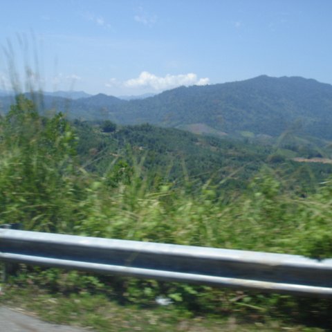 Road trip Sandakan - Kota Kinabalu (123) Road trip Sandakan - Kota Kinabalu (123)