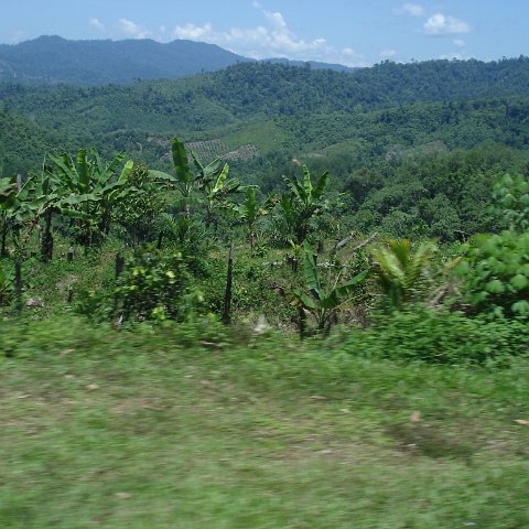 Road trip Sandakan - Kota Kinabalu (127) Road trip Sandakan - Kota Kinabalu (127)