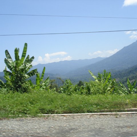 Road trip Sandakan - Kota Kinabalu (136)