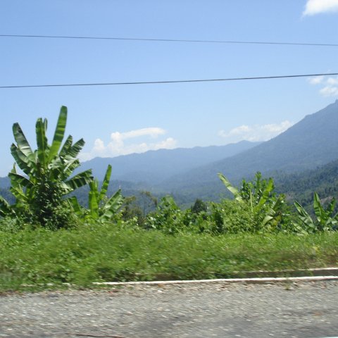 Road trip Sandakan - Kota Kinabalu (136) Road trip Sandakan - Kota Kinabalu (136)