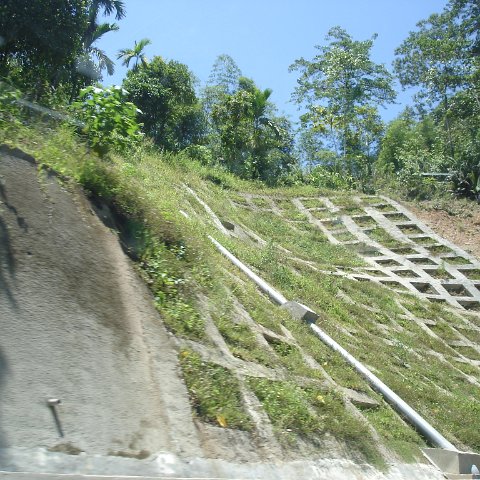 Road trip Sandakan - Kota Kinabalu (138)