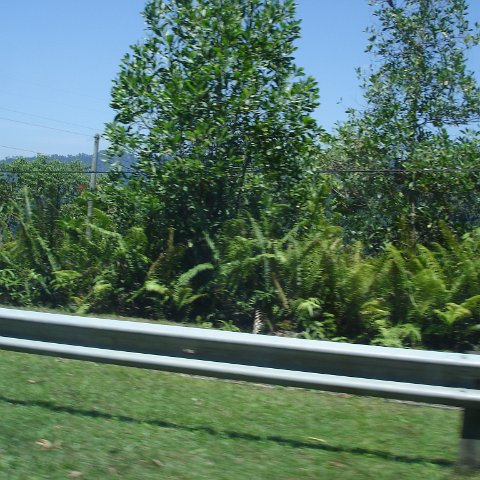 Road trip Sandakan - Kota Kinabalu (145) Road trip Sandakan - Kota Kinabalu (145)