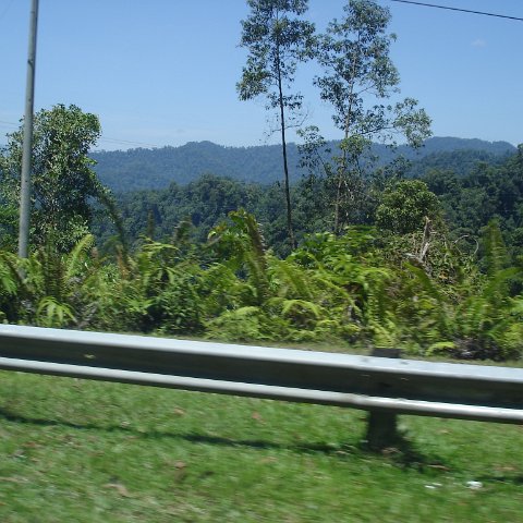 Road trip Sandakan - Kota Kinabalu (146)