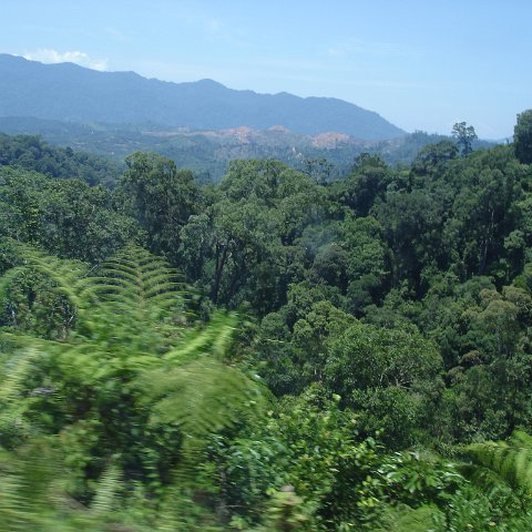 Road trip Sandakan - Kota Kinabalu (147)