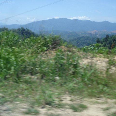 Road trip Sandakan - Kota Kinabalu (151) Road trip Sandakan - Kota Kinabalu (151)