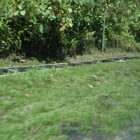 Road trip Sandakan - Kota Kinabalu (156) Road trip Sandakan - Kota Kinabalu (156)