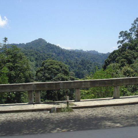 Road trip Sandakan - Kota Kinabalu (157)