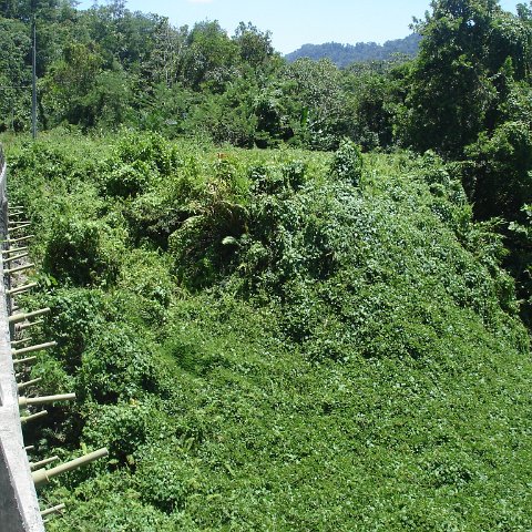 Road trip Sandakan - Kota Kinabalu (168)