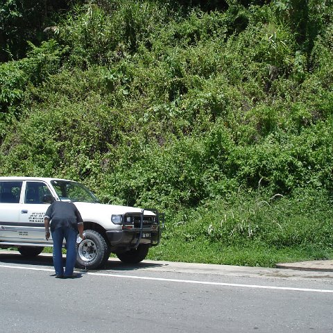 Road trip Sandakan - Kota Kinabalu (172)