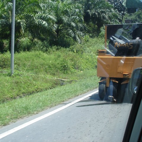 Road trip Sandakan - Kota Kinabalu (178)