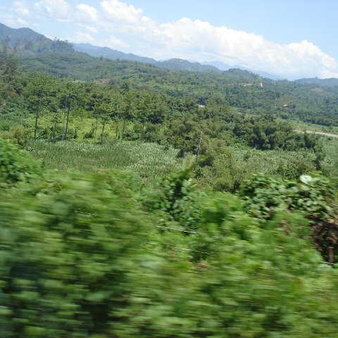 Road trip Sandakan - Kota Kinabalu (191)